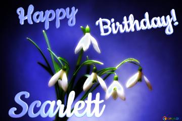 Happy               Birthday! Scarlett  Flowers