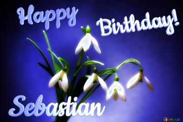 Happy               Birthday! Sebastian  Flowers
