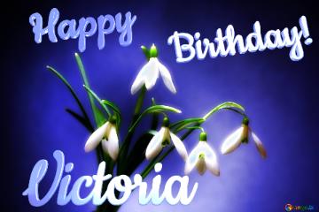 Happy               Birthday! Victoria  Flowers