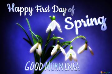 Happy First Day of Spring Good Morning! 