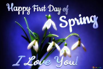 Happy First Day of Spring I Love You! 
