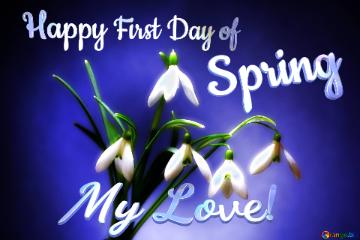 Happy First Day Of Spring My Love!  Flowers