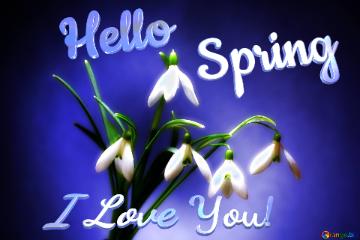Hello           Spring I Love You!  Flowers