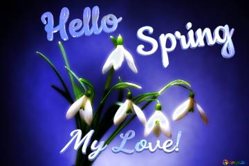 Hello           Spring My Love!  Flowers