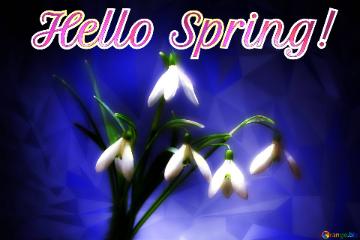 My Love! Hello Spring!  Clip Art Flowers Polygonal Abstract Geometrical Background With Triangles