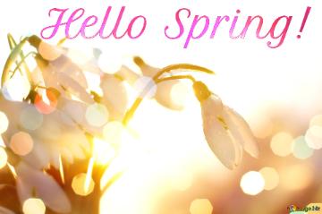 Hello Spring! Spring Background