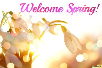 Welcome Spring! Spring Background