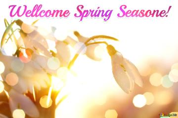 Wellcome Spring Seasone!