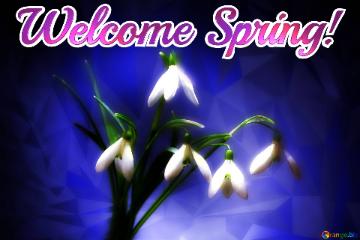 Welcome Spring!  Clip Art Flowers Polygonal Abstract Geometrical Background With Triangles