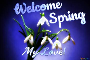 Welcome           Spring My Love! 