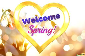Welcome  Spring! 