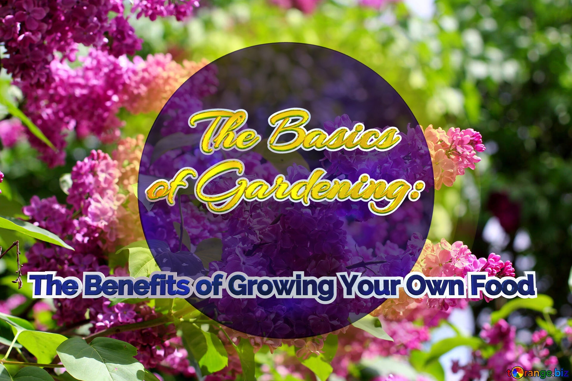    The Basics  of Gardening:   The Benefits of Growing Your Own Food  Bright picture with lilac flowers №37487