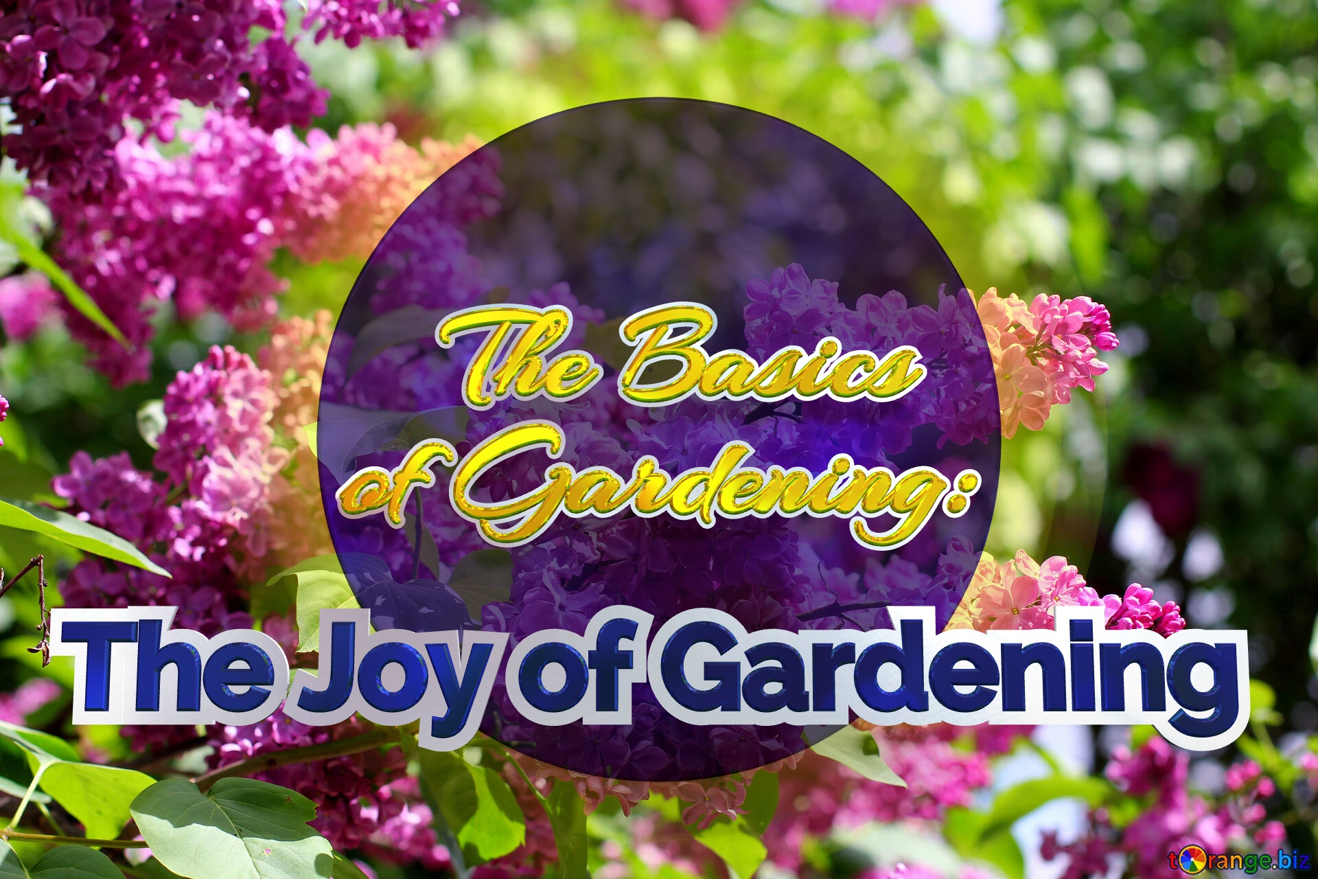    The Basics  of Gardening:   The Joy of Gardening  Bright picture with lilac flowers №37487