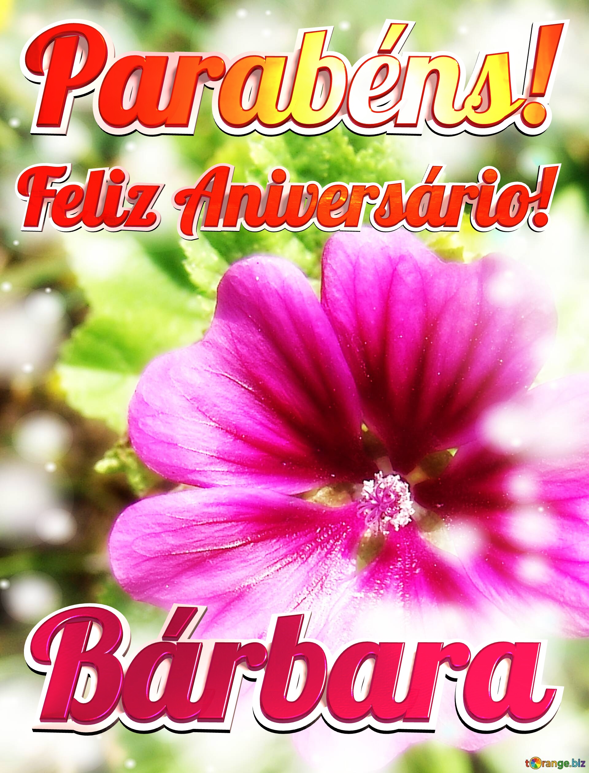Feliz Aniversário! Parabéns! Bárbara  Jardim das Borboletas №0