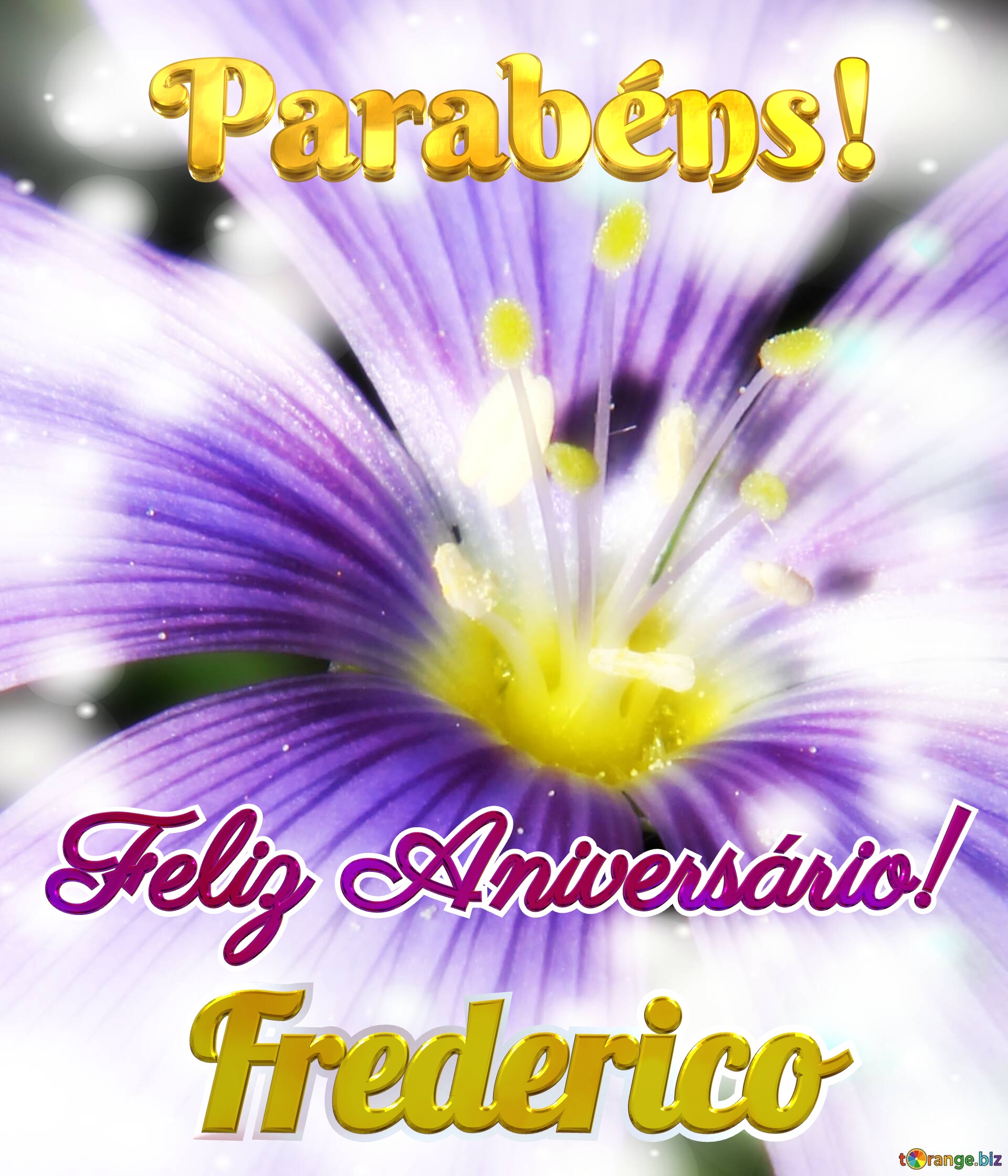 Feliz Aniversário! Parabéns! Frederico  Oásis Floral №0