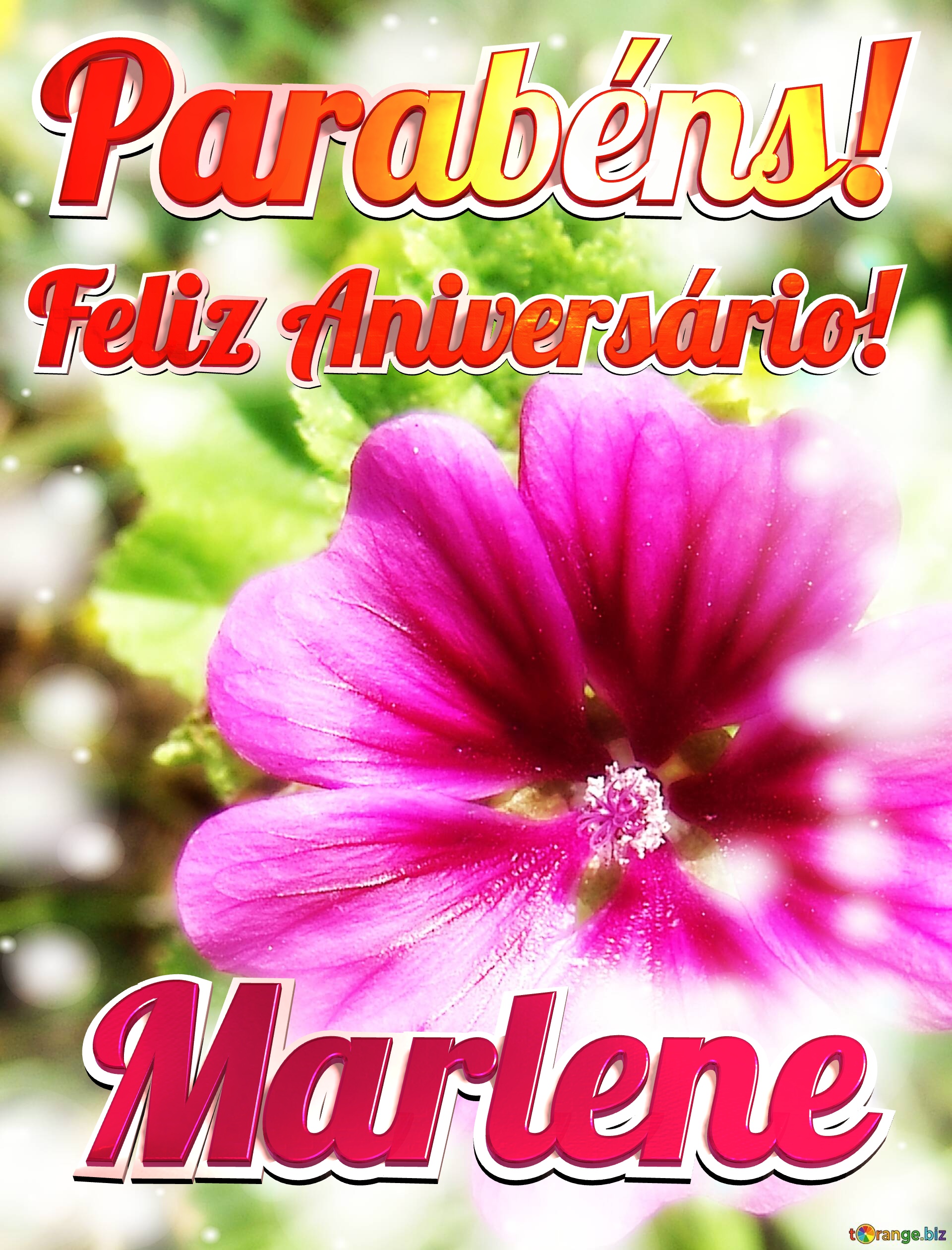 Feliz Aniversário! Parabéns! Marlene  Jardim das Borboletas №0