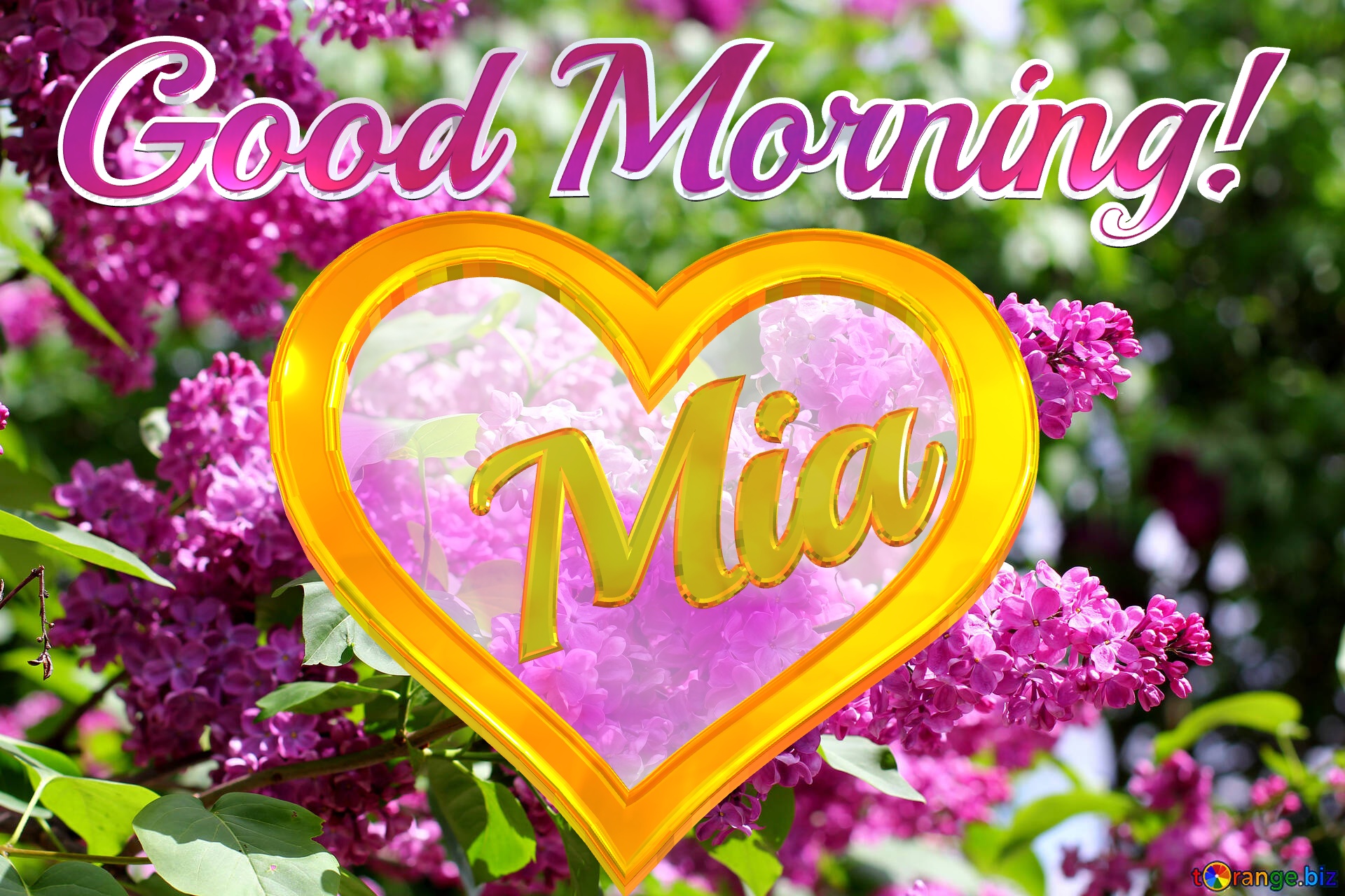  Good Morning! Mia   Bright picture with lilac flowers №37487