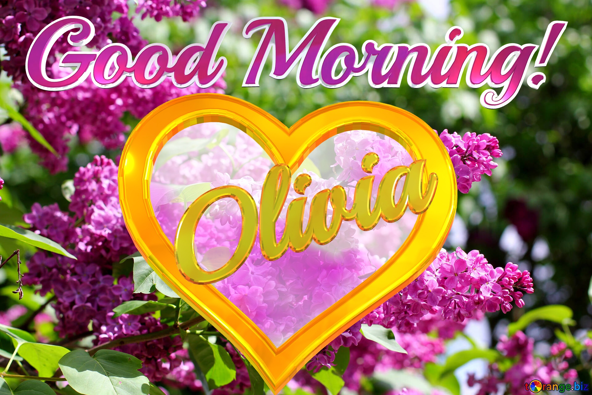 Good Morning! Olivia   Bright picture with lilac flowers №37487