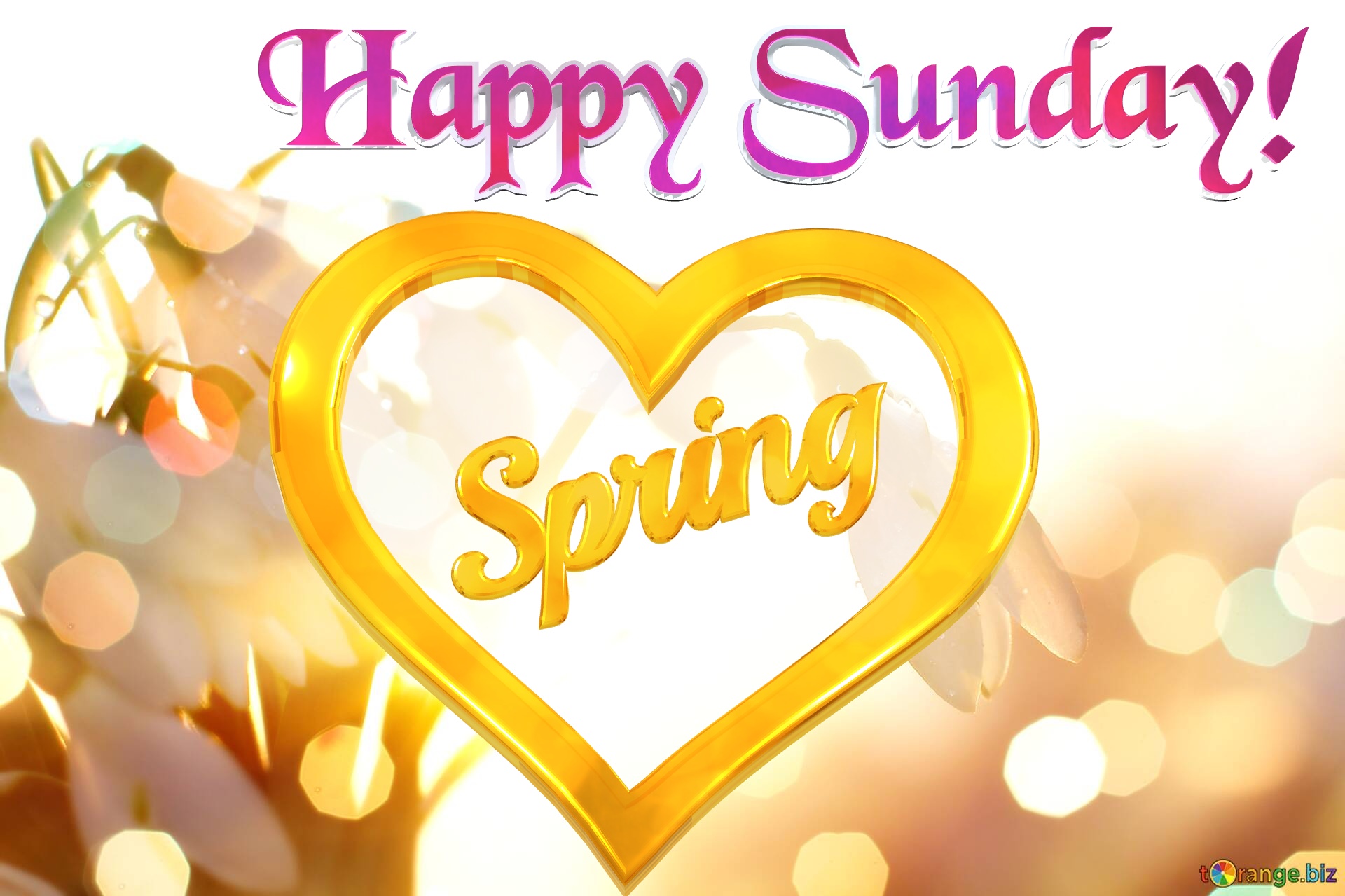  Happy Sunday! Spring   Spring background №0