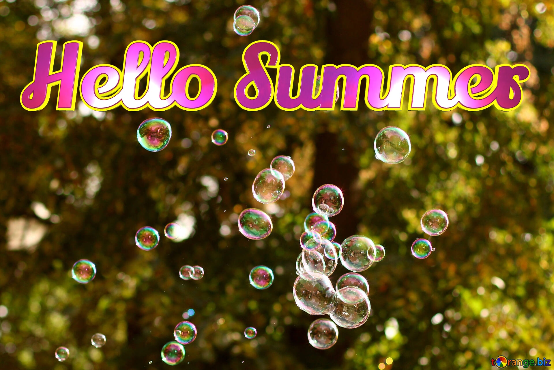 Hello Summer  Summer  bubbles №51124