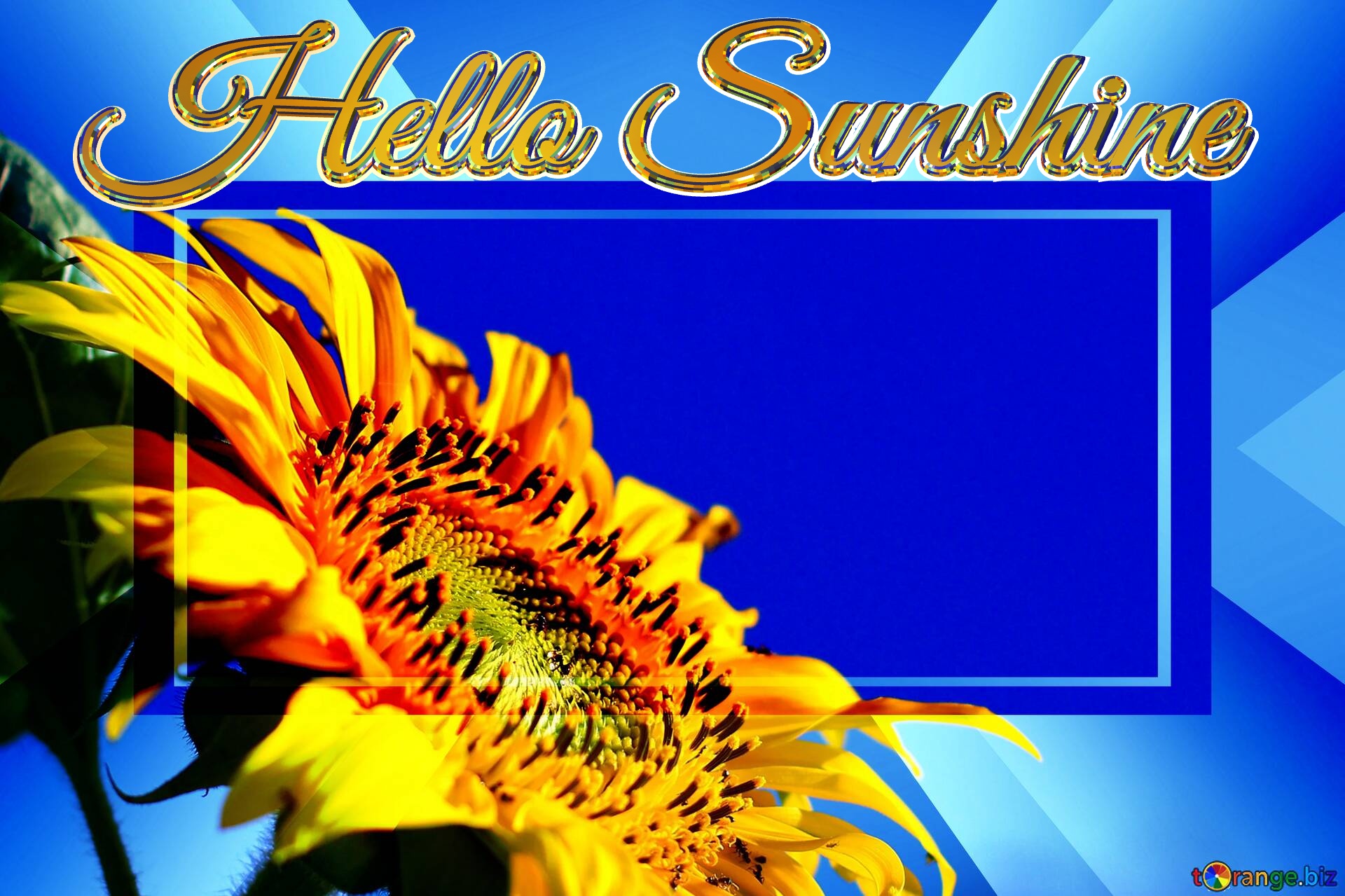 Hello Sunshine  Sunflowers on blue background on the desktop Banner Template Infographic Business Background №0