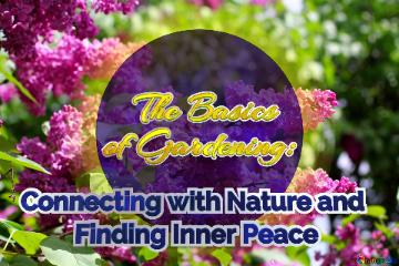    The Basics  of Gardening:   Connecting with Nature and           Finding Inner Peace 