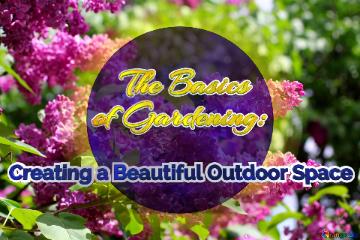    The Basics  of Gardening:   Creating a Beautiful Outdoor Space 