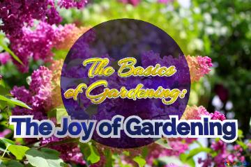    The Basics  of Gardening:   The Joy of Gardening 