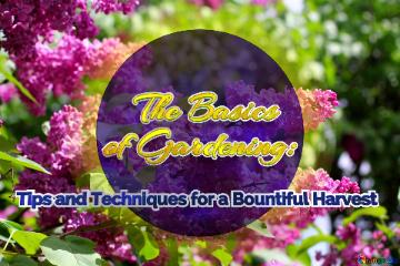    The Basics  of Gardening:   Tips and Techniques for a Bountiful Harvest 