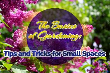    The Basics  Of Gardening:    Tips And Tricks For Small Spaces  Bright Picture With Lilac Flowers