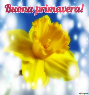 Buona Primavera!  Честит Рожден ден!