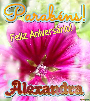 Feliz Aniversário! Parabéns! Alexandra  Jardim Do Silêncio