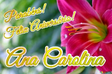 Feliz Aniversário! Parabéns! Ana Carolina 
