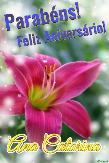 Feliz Aniversário! Parabéns! Ana Catarina  Flores Da Paixão
