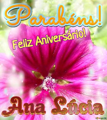Feliz Aniversário! Parabéns! Ana Lúcia 