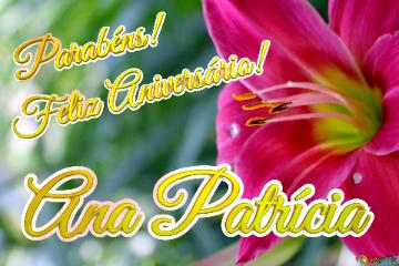 Feliz Aniversário! Parabéns! Ana Patrícia  Jardim Dos Sonhos