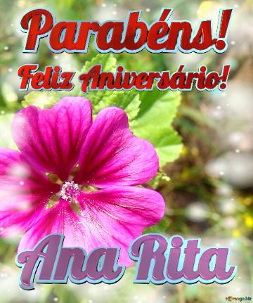 Feliz Aniversário! Parabéns! Ana Rita  Campo De Flores