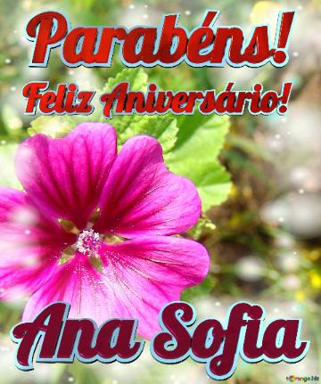 Feliz Aniversário! Parabéns! Ana Sofia  Campo De Flores