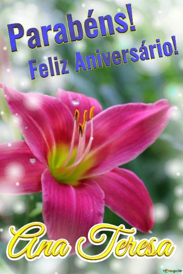 Feliz Aniversário! Parabéns! Ana Teresa  Flores Da Paixão