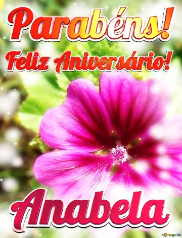 Feliz Aniversário! Parabéns! Anabela 