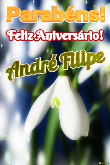 Feliz Aniversário! Parabéns! André Filipe 