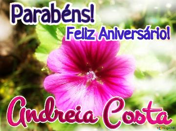 Feliz Aniversário! Parabéns! Andreia Costa  Flor Da Tranquilidade