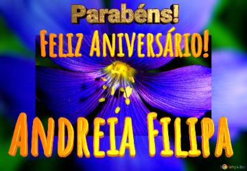 Feliz Aniversário! Parabéns! Andreia Filipa  Flores Da Alvorada