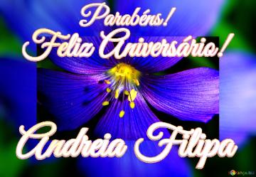 Feliz Aniversário! Parabéns! Andreia Filipa  Flores Da Alvorada