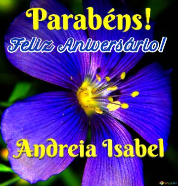 Feliz Aniversário! Parabéns! Andreia Isabel 