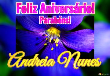 Feliz Aniversário! Parabéns! Andreia Nunes  Flores Da Alvorada