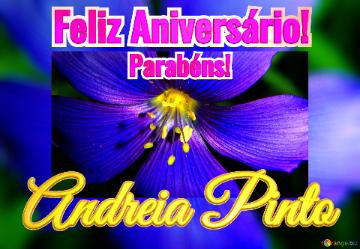 Feliz Aniversário! Parabéns! Andreia Pinto  Flores Da Alvorada