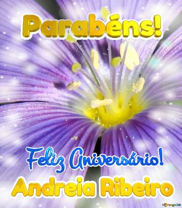 Feliz Aniversário! Parabéns! Andreia Ribeiro  Beleza Despretensiosa