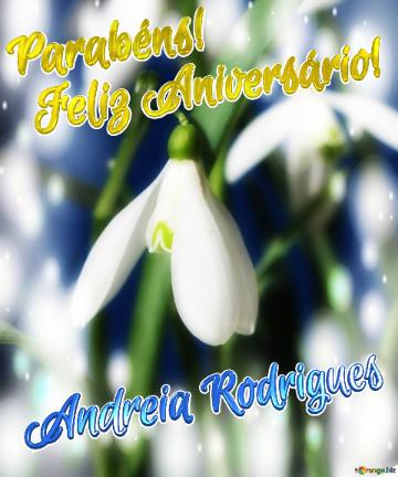 Feliz Aniversário! Parabéns! Andreia Rodrigues 