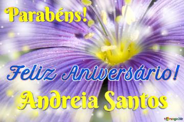 Feliz Aniversário! Parabéns! Andreia Santos  Flores Do Mistério